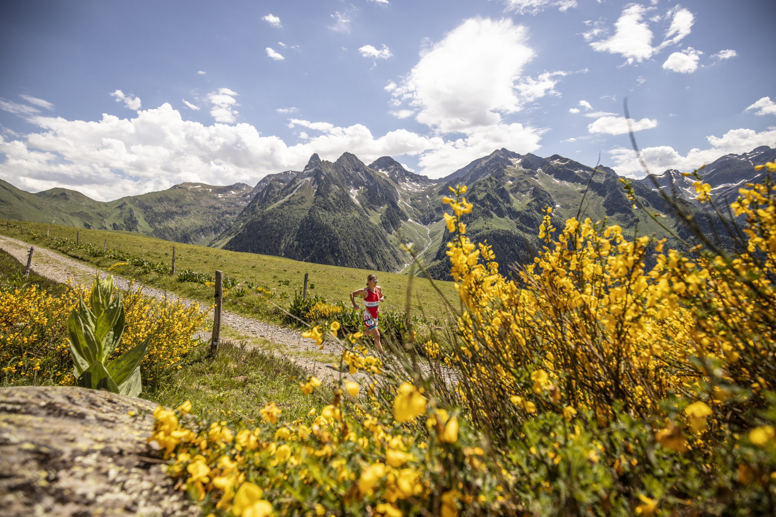 Parcours Run / Courte Distance